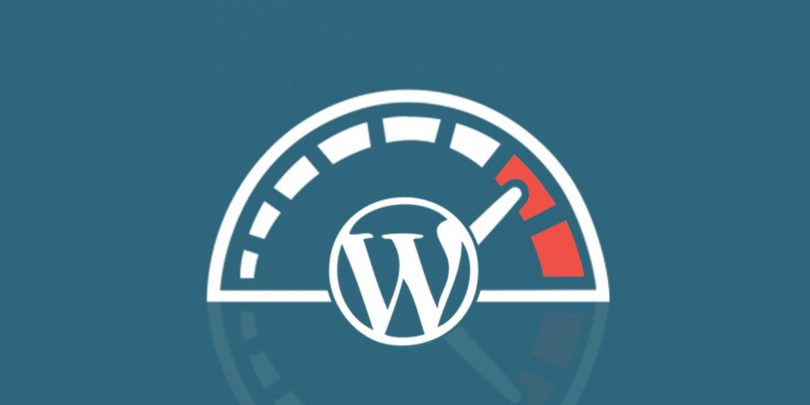 WordPress Hız Optimizasyonu